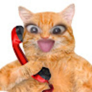 Meet your Posher, Nya